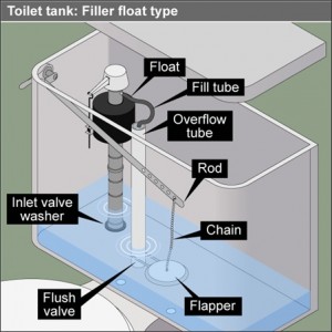 toilettank-300x300.jpg